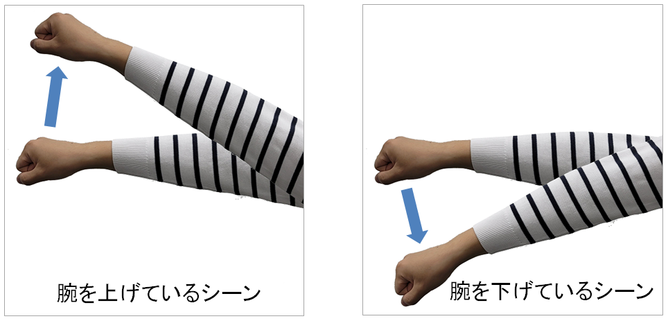 図1_行動別に映像をシーンに分類